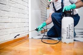 Real Estate Pest Inspections in Laton, CA